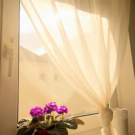 Appartamento Cozy